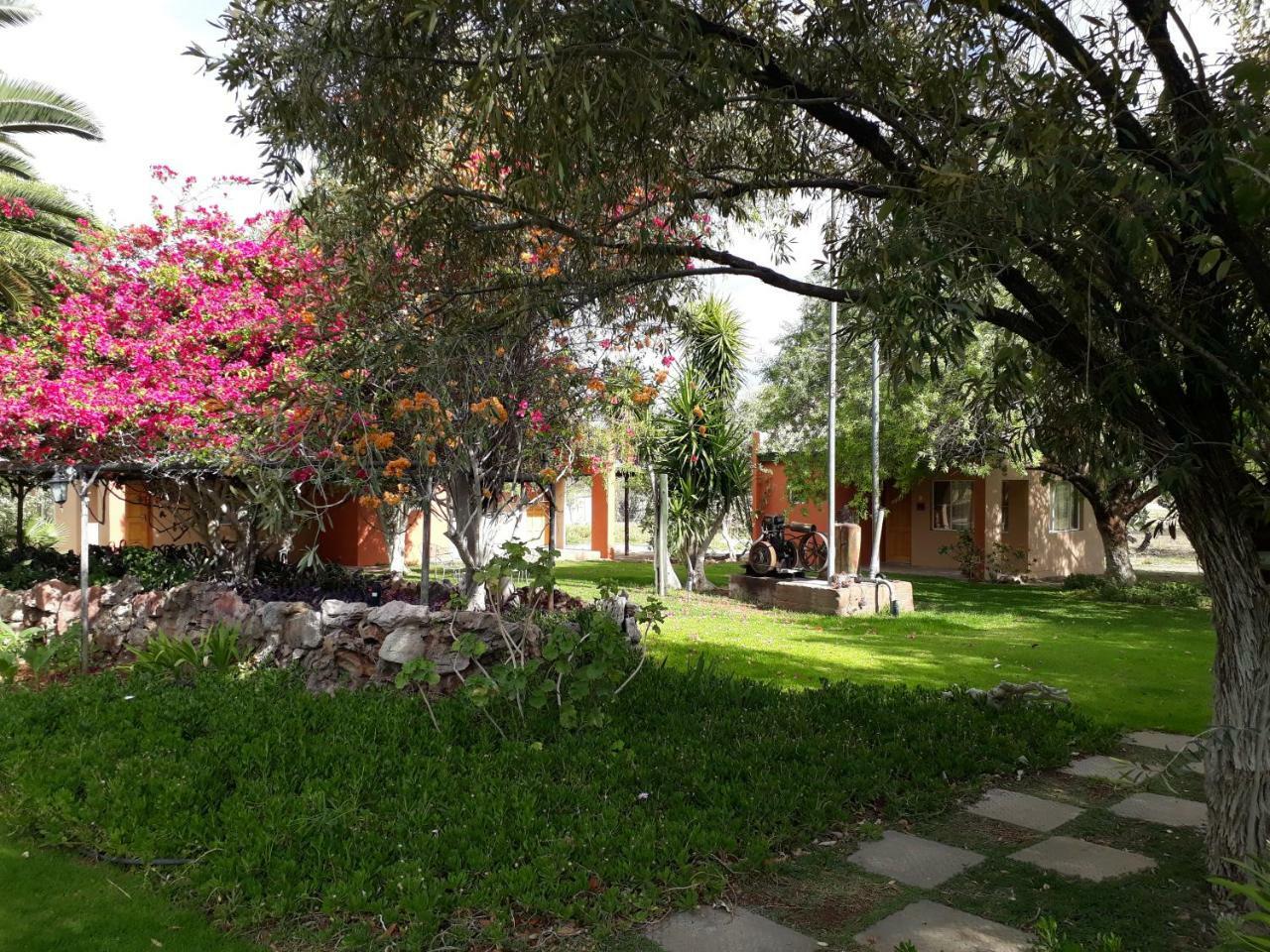Villa Buschberg guest farm à Outjo Extérieur photo